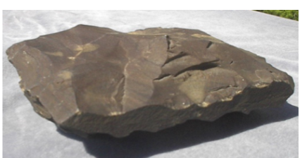 <p>clay-rich(mature)</p>