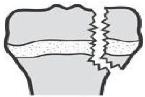 <p>what type of fx is this?</p>