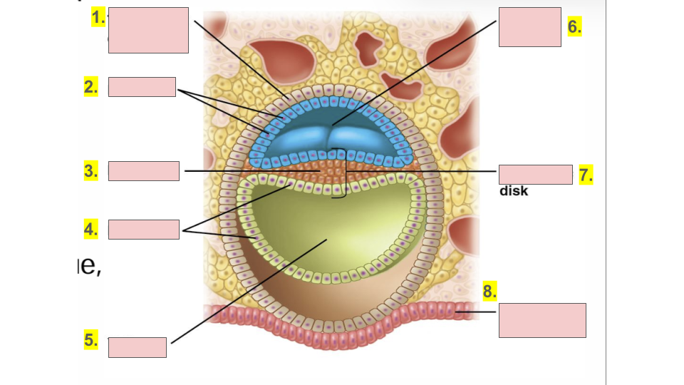 <p>1.</p>