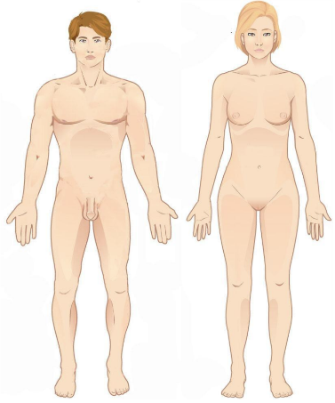<p>Standing upright, feet parallel to the floor, eyes looking forward, arms at side, palms facing forward, thumbs pointing away from the body</p>