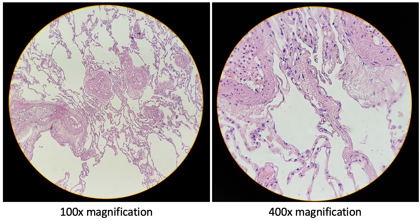 <p>What are these slides showing?</p>