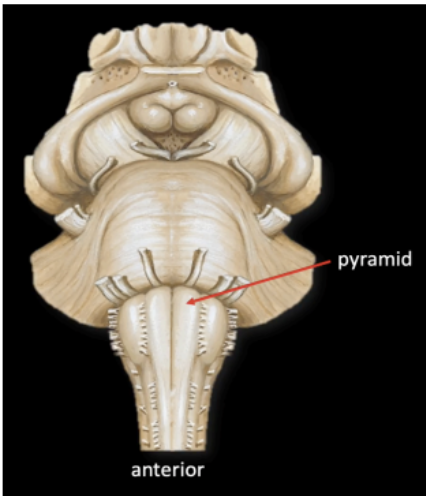 <p>Pyramid</p>