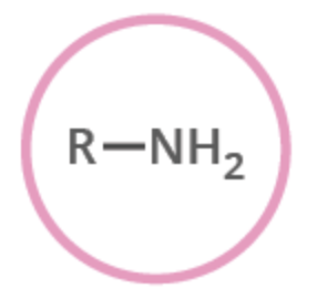 <p>functional group</p>