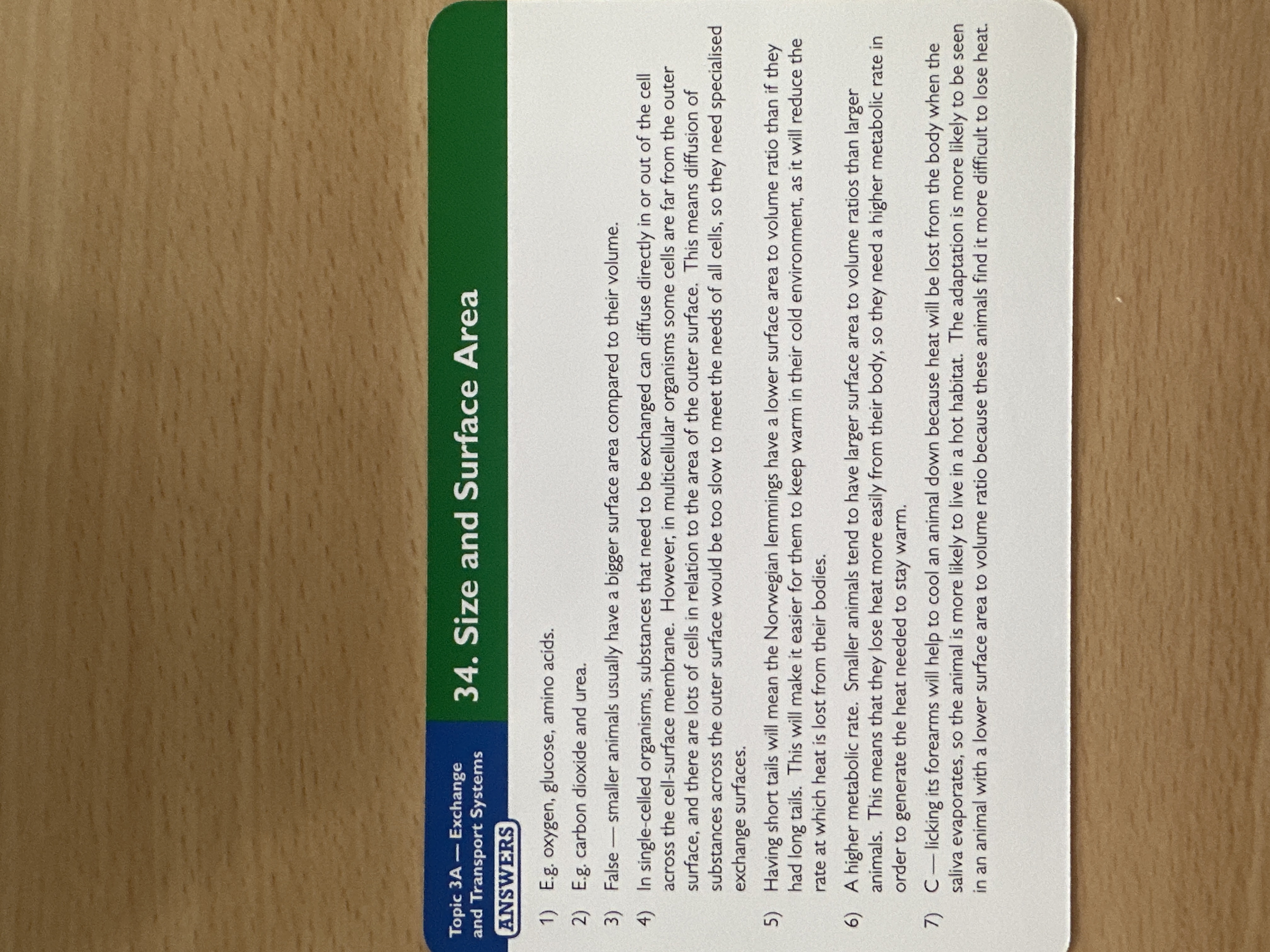 knowt flashcard image