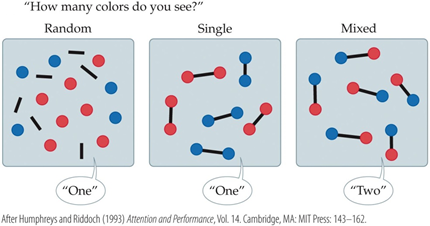 <p>A patient is presented with the images in the figure one at a time and asked to report how many colors she can see. When the two colors are presented as seperate objects, as in the Random or Single display, she reports that she can only see one color. When the two colors are presented as part of the same object, however, she reports seeing both colors. What would the most likely diagnosis of this patient be? </p>