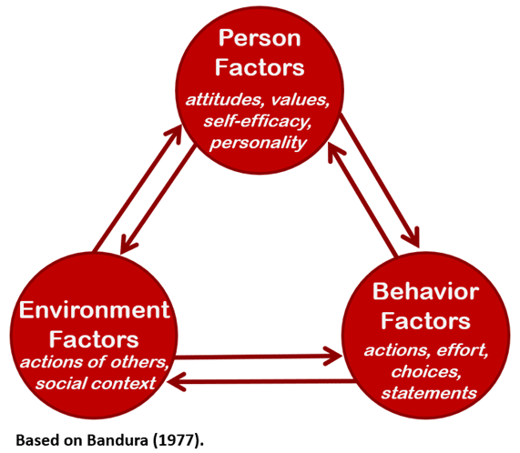<p>(by Bandura) the interacting influences of behavior, internal cognition, and environment</p>