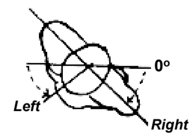 <p>Trunk rotation</p>