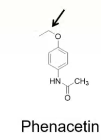 <p>which metabolic reaction catalyzed by CYP450 will take place?</p><p>which two metabolites will come out of this reaction? </p>