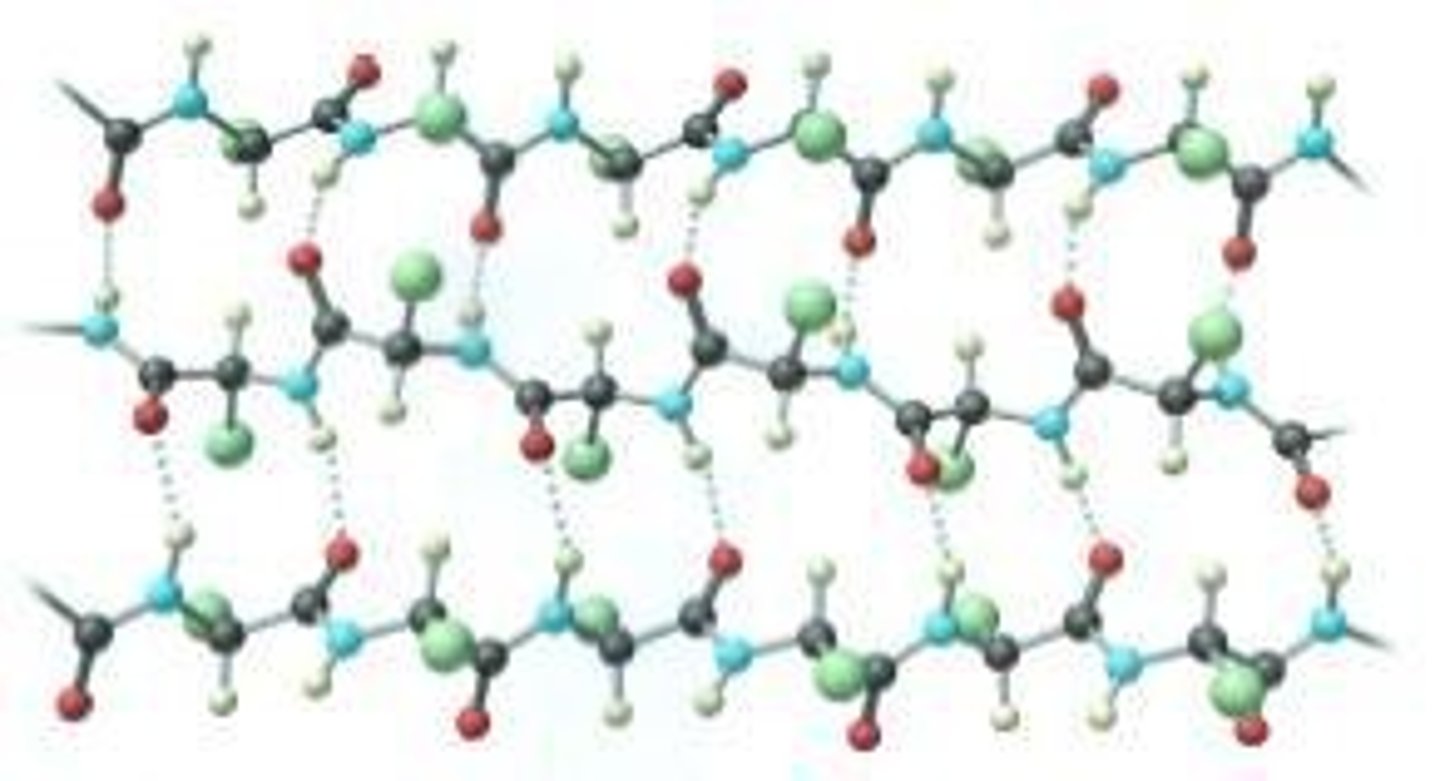 <p>A bond X--H⋅⋅⋅Y that forms between two electronegative atoms X and Y via a hydrogen atom, typically involving O, N, or F.</p>