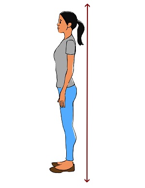 <p>Position used to assess posture, balance, and gait. Do not use for pt who are weak, dizzy, or fall-risk.</p>