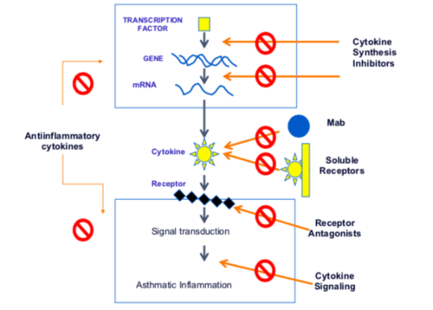 knowt flashcard image