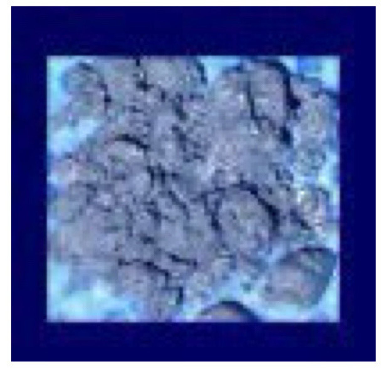 <p>• Crumbly, grainy mix</p><p>• Excessive free Hg</p>