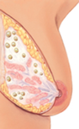 <p>What is this an image of?</p>