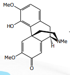 <p>[Alkaloids Compounds] heroin is derived from</p>