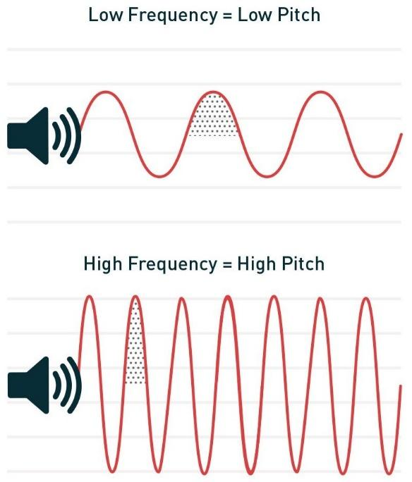 <p>perception of the frequency of a sound wave </p><p></p>