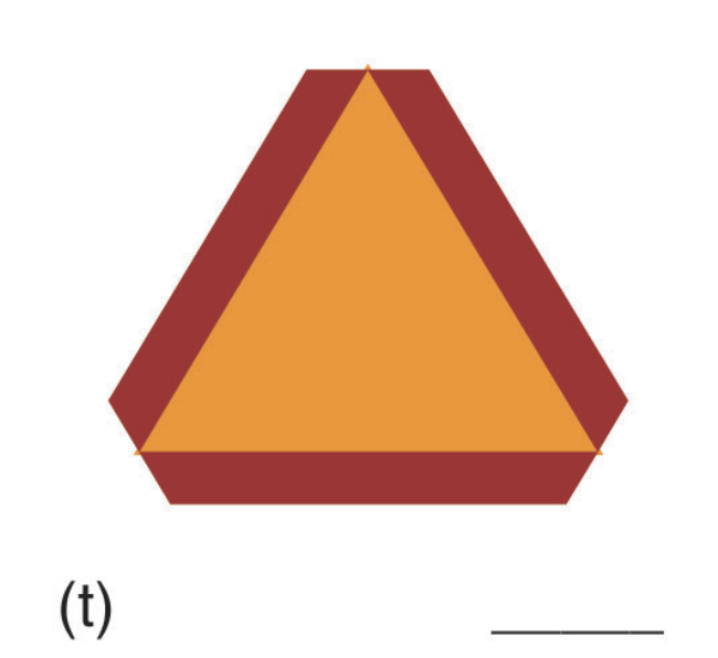 <p></p>