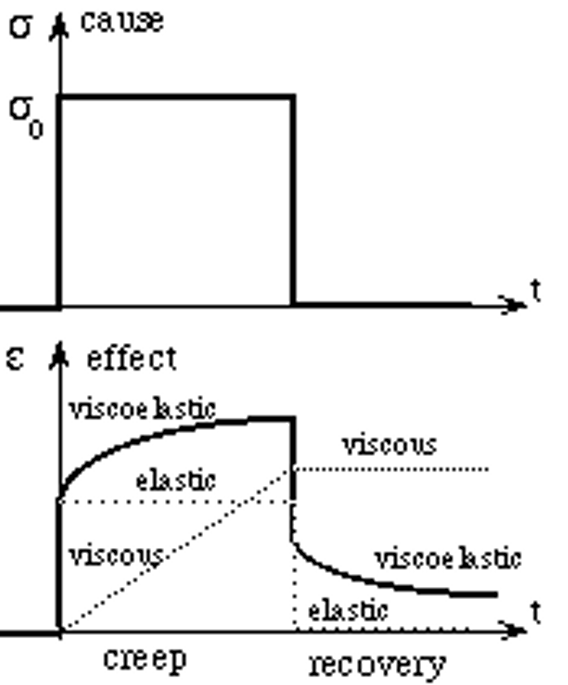 <p>this figure best shows which viscoelastic phenomenon? </p>