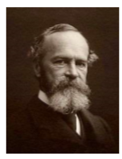 <p><strong>Schools of Thought in Psychology:</strong> <span style="color: blue;">Functionalism</span></p>