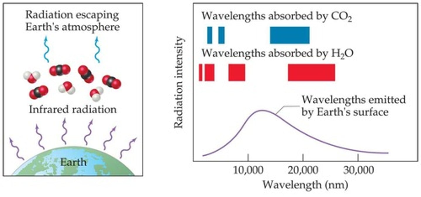 <p>The process by which H2O and CO2 absorb outgoing infrared radiation, retaining heat.</p>