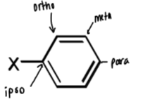 <p>referred to as ortho, meta and para relative to substituent X</p><p>ipso is the carbon with substituent X attached</p>