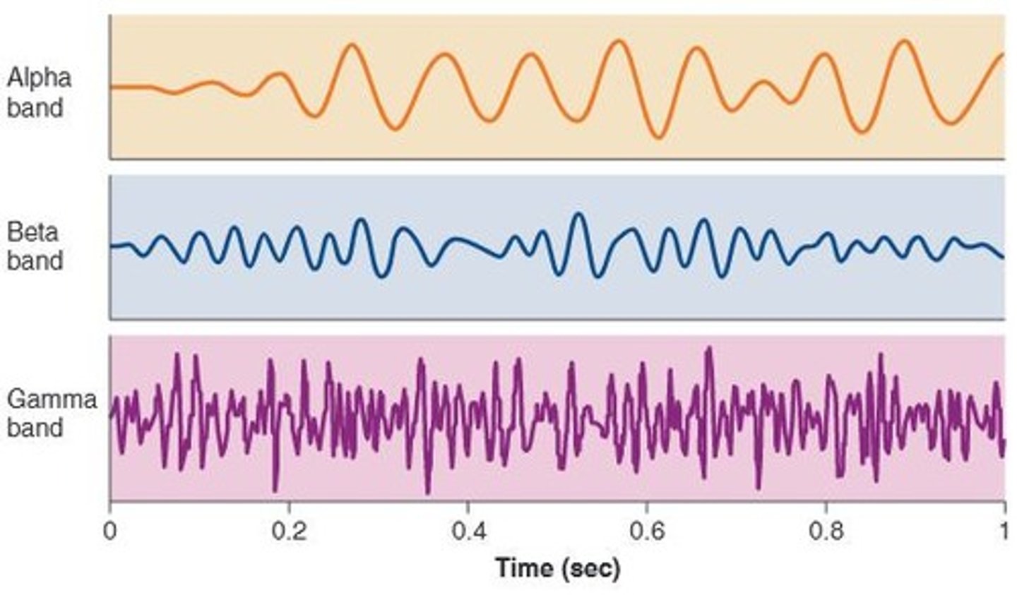 <p>Alternates between alpha (8-13 Hz) and beta (13-30 Hz) patterns.</p>