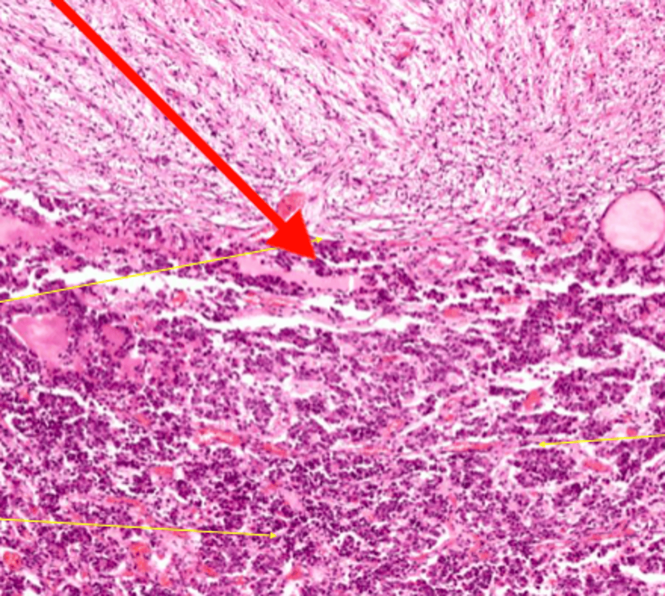 <p>part of</p>