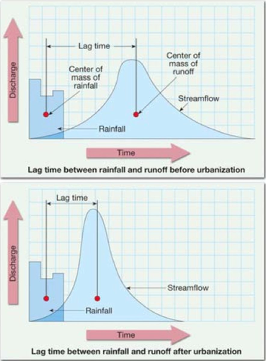 <p>"Flashy" = higher peak, less lag time. Generally more dangerous</p><p>Catchment features</p><p>-Catchment size</p><p>-Soil Type (more impermeable = more flashy)</p><p>-Geology (steeper = more flashy)</p><p>-Vegetation Type and Cover (Less Vegetation = more flashy)</p><p>-Hydraulic Length (Distance from Outlet to most distant point)</p><p>-Drainage Density (total channel lengths/area of catchment)</p>