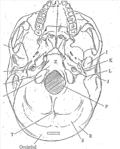 middle bottom 