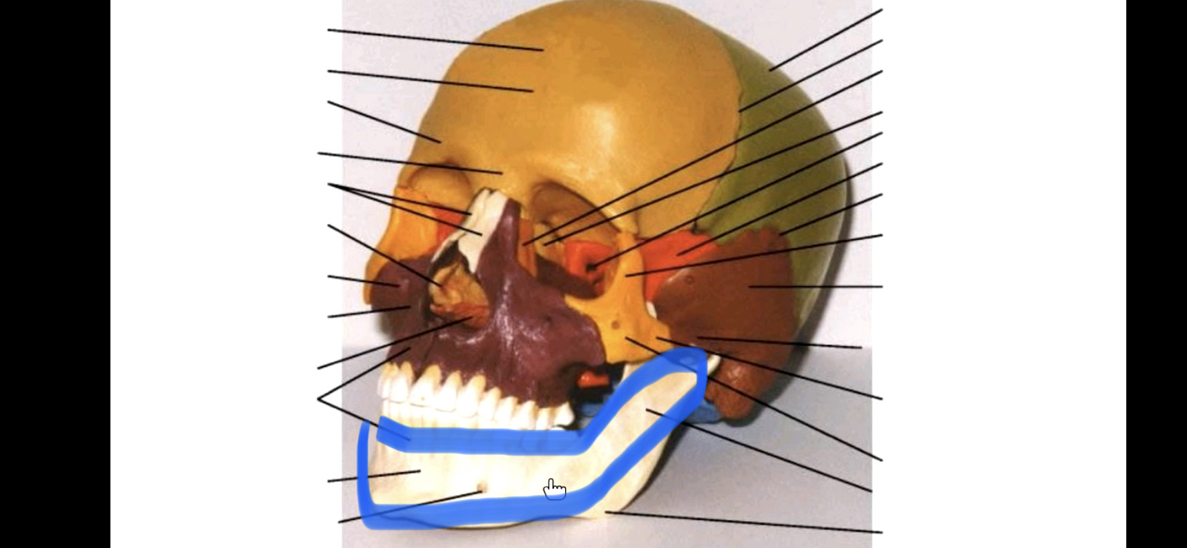 knowt flashcard image