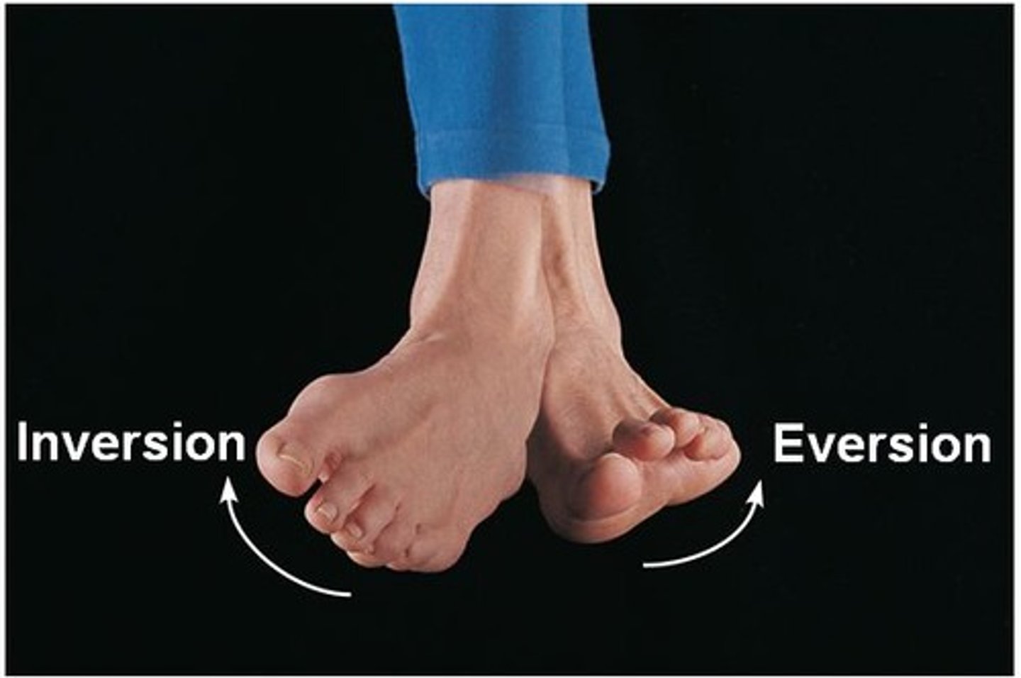 <p>Turning the sole of the foot medially.</p>