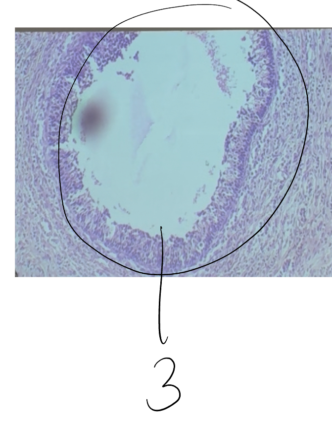 <p>3</p>