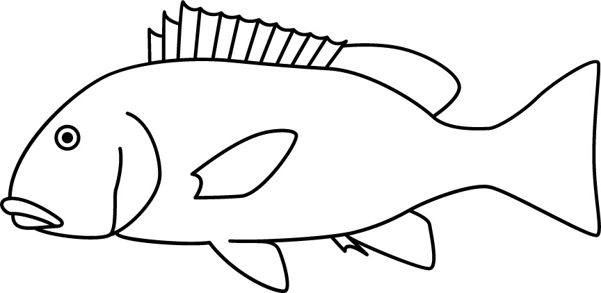 <p>Small mouth with very big lips<br>Patterns<br>Size: 30 cm</p>