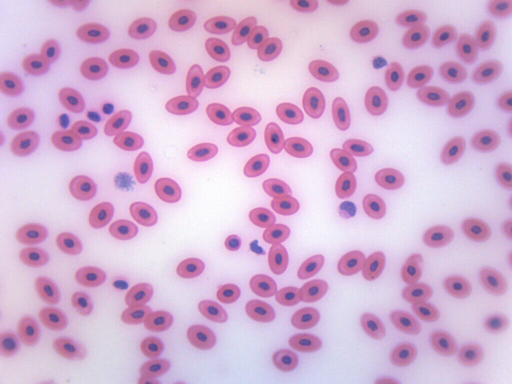 <p>What is this?</p>
