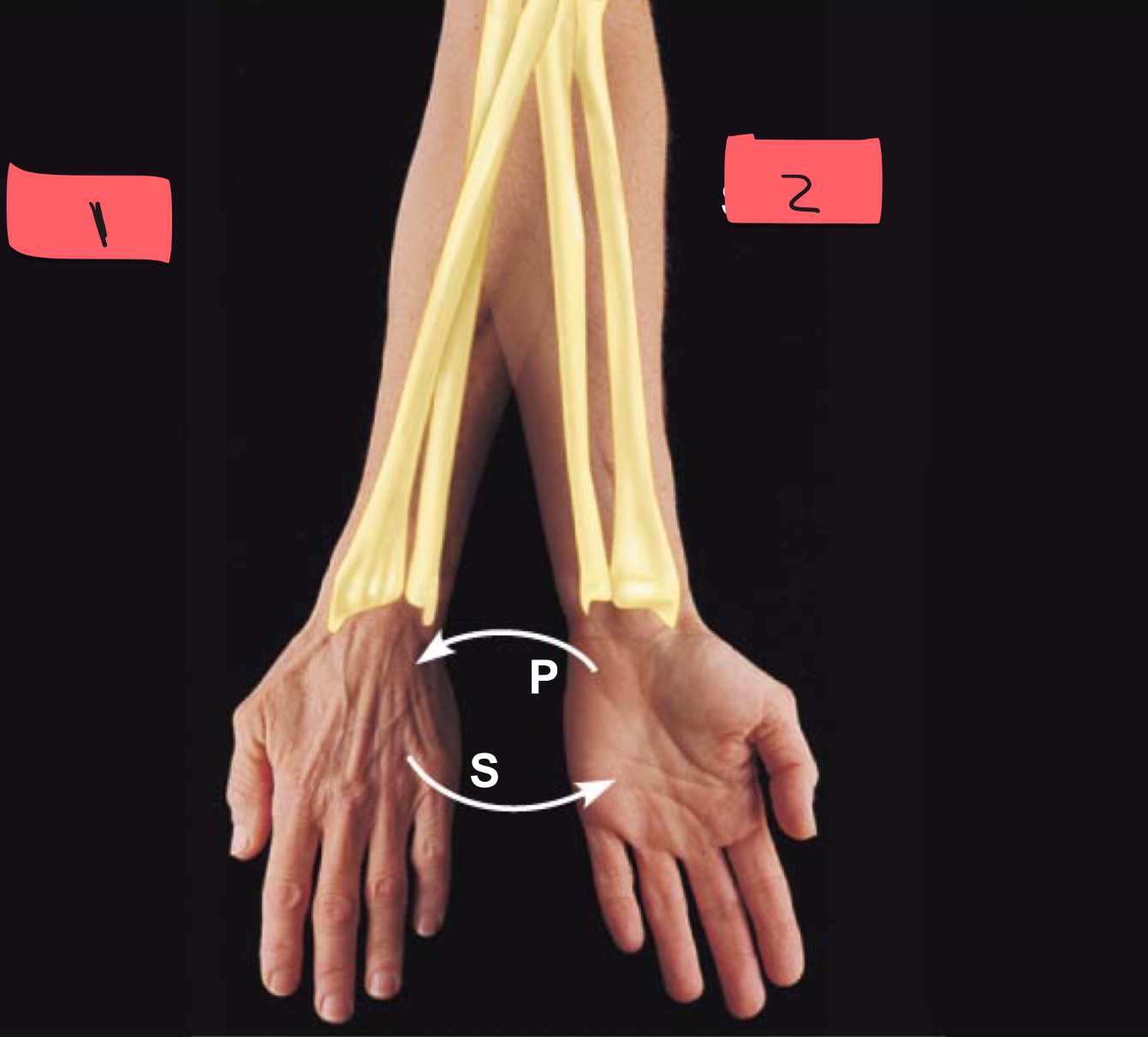 <p>1</p>