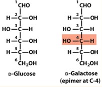<p>D-Glucose and D-Galactose are epimers at?</p>