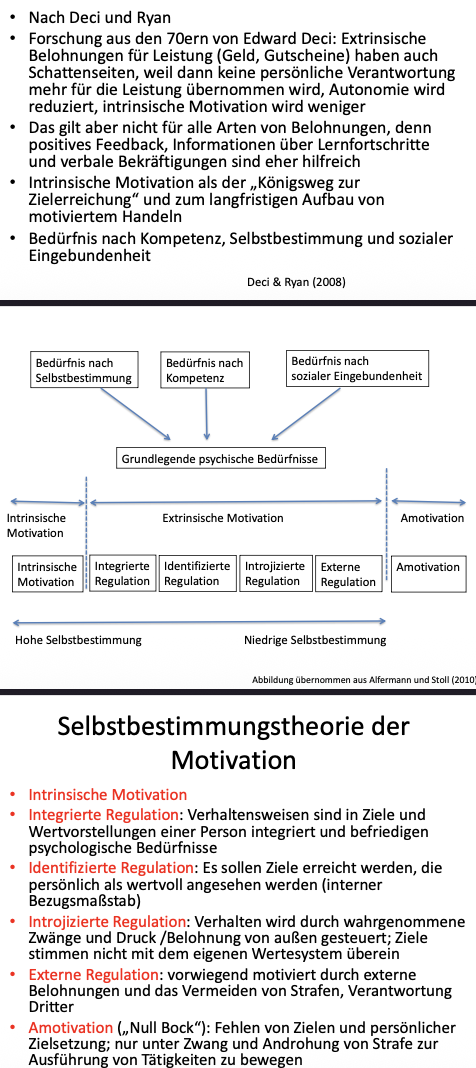 <p>Erfüllung der drei psychologischen Grundbedürfnisse bestimmt den Grad der Selbstbestimmung von Motivation</p>