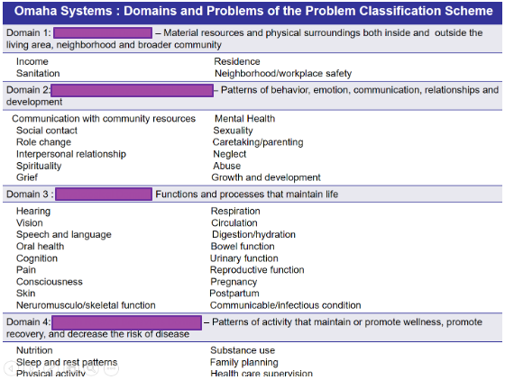 <p>(Schemes in stating the diagnosis: Omaha System)</p>