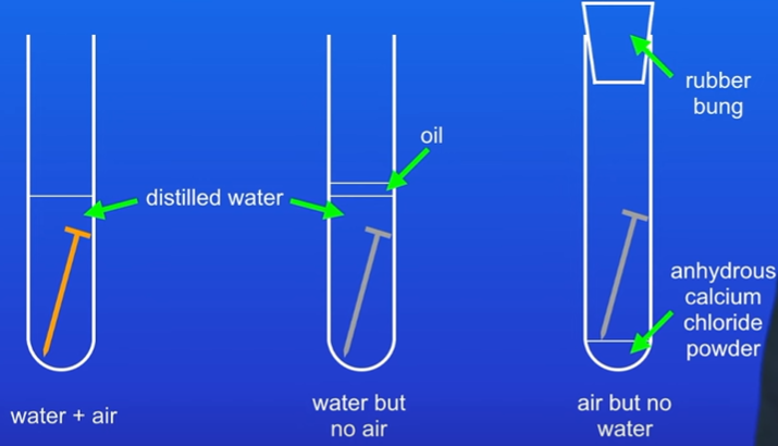 <p>Figure show nail in a different test tubes. </p><p>Describe the condition that require corrosion of metal.</p><p>Give your reason to your answer. [2 marks]</p>