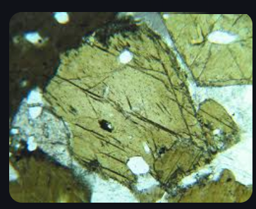<p>Green/brown, 2 planes of cleavage at 60/120, high relief, strong pleochromism, 2nd order birefringence, and inclined extinction</p>