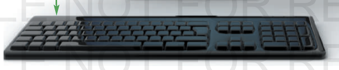 <p>Data or instructions you type into the computer</p>
