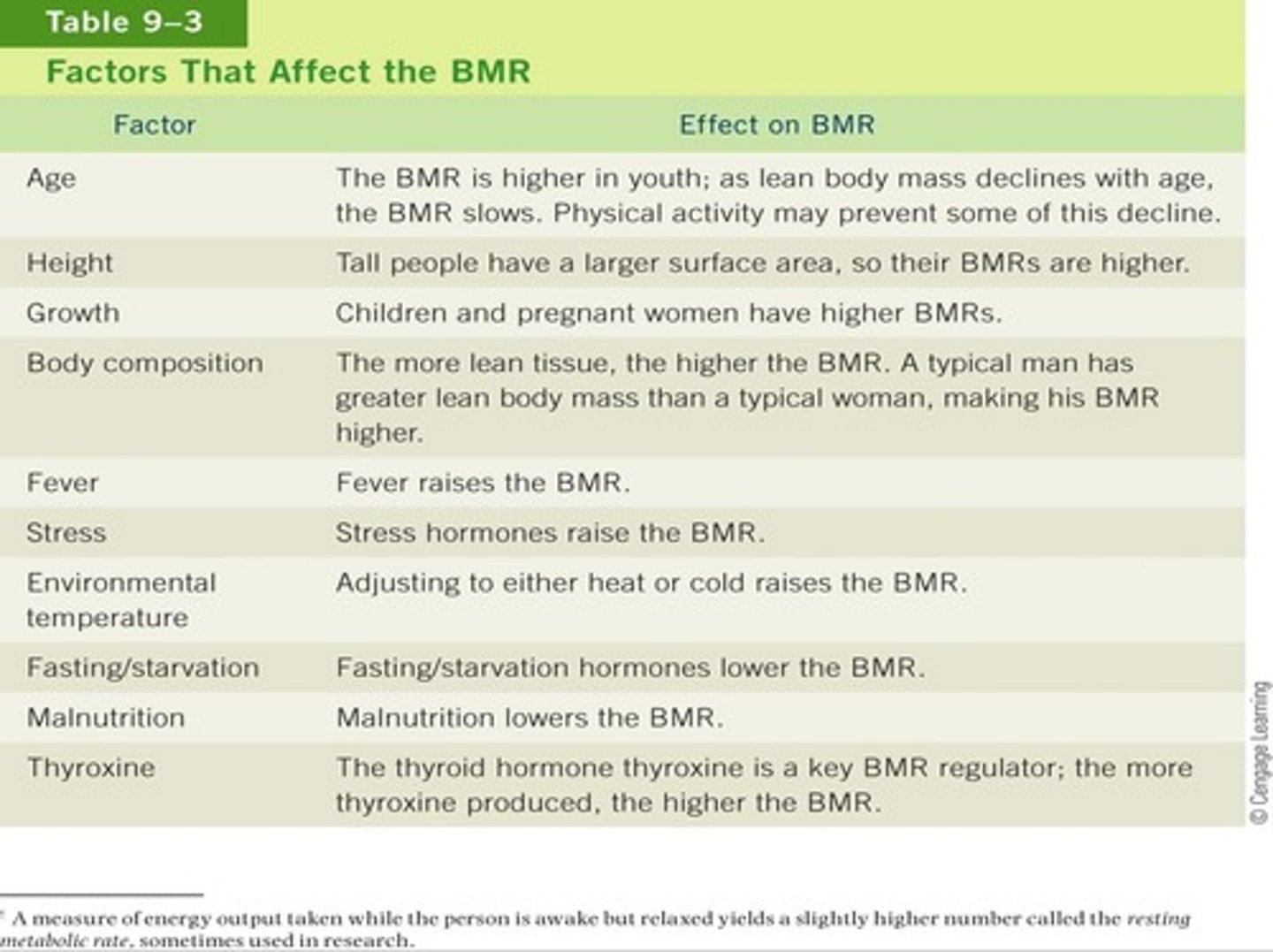 <p>Age, sex, body composition, stress, fasting, malnutrition</p>