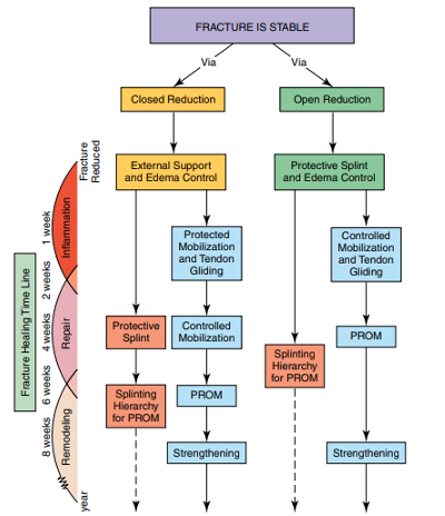 <p>Objectif : Empêcher le mvt pour permettre la meilleur consolidation possible par un réalignement et/ou une stabilisation. Pouvant être chirurgicale et non-chirurgicale. </p>