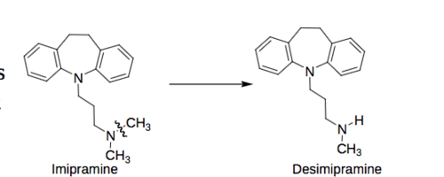 <p>OH replaces H on the C of one of the R groups, becomes carbonyl, breaks off</p><p>3amine-&gt; 2 amine + ket/ald</p><p>2amine-&gt; 1 amine + ket/ald</p><p>1amine-&gt; NH3 + ket/ald</p>