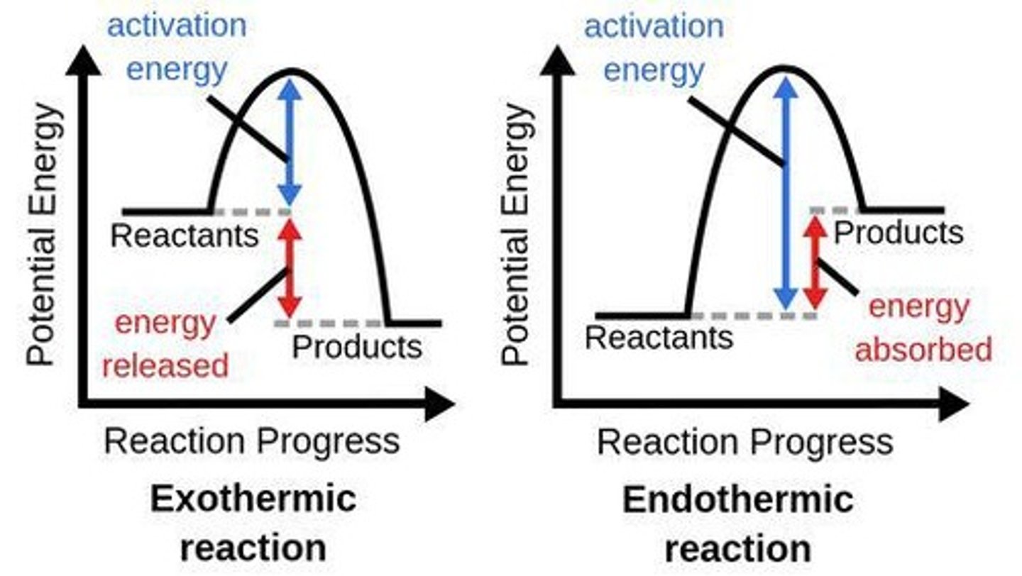 <p>Reactions that release energy to the surroundings, typically in the form of heat, causing an increase in temperature.</p>