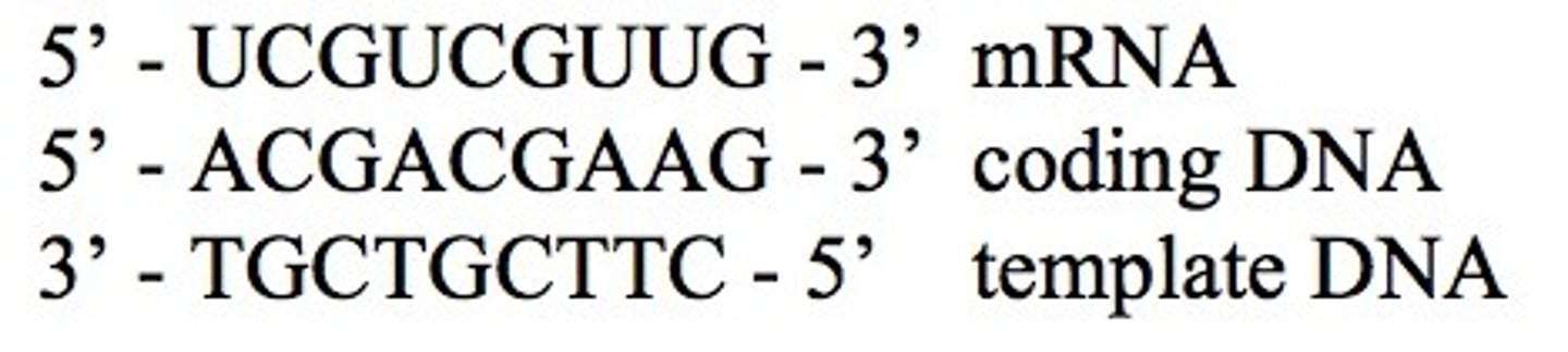 <p>B. False (not possible)</p><p>1 multiple choice option</p>