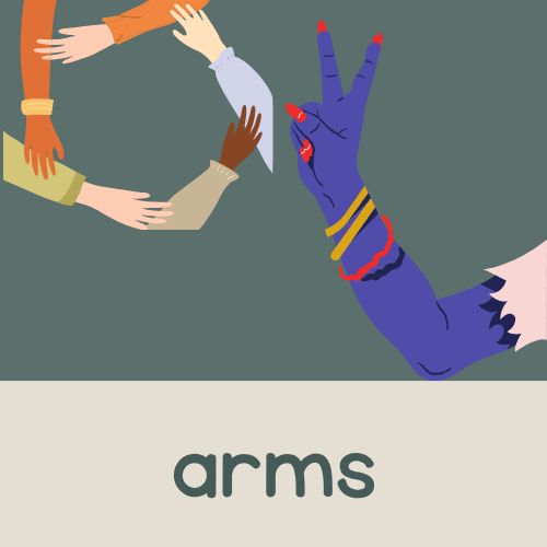 <p>arms</p>
