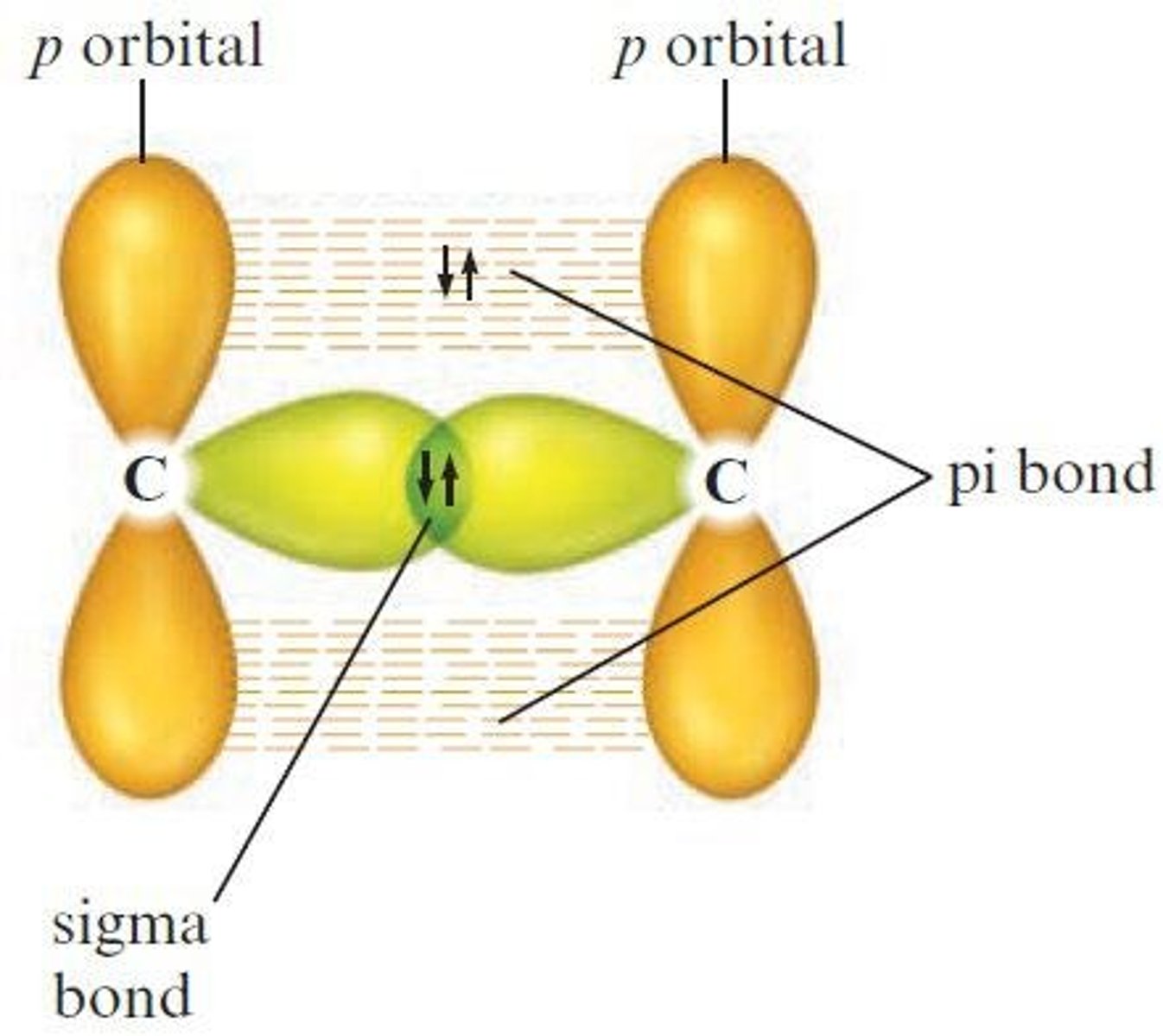 <p>Sigma (σ) bond.</p>
