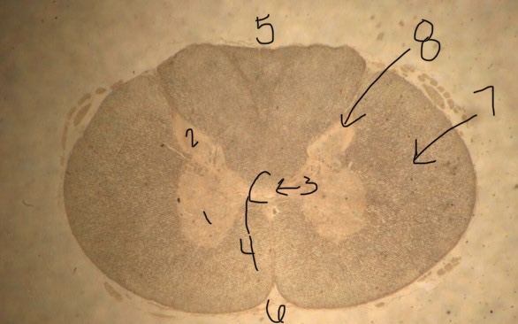 6?