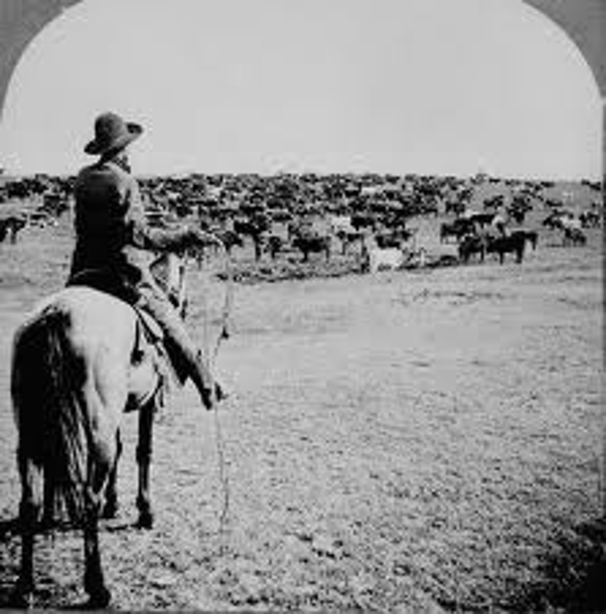 <p>The Great Plains from Texas to Canada where many ranchers raised cattle in the late 1800's</p>