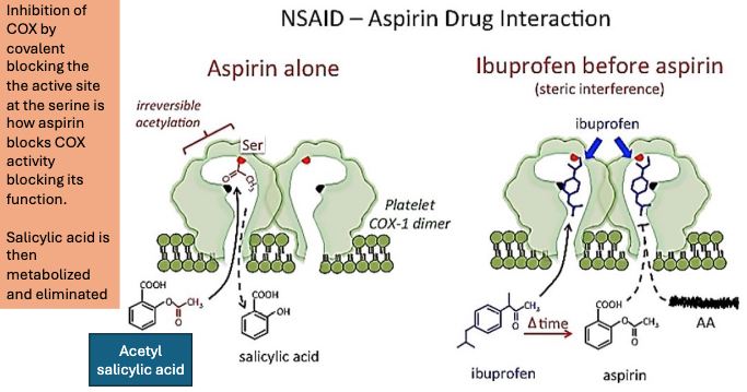 <p>Ibuprofen then aspirin:</p><ul><li><p><span><span>If ibuprofen is taken before aspirin, it occupies COX-1 reversibly, blocking aspirin’s access to the active site, until ibuprofen dissociates.</span></span></p></li><li><p><span><span>This prevents aspirin from acetylating the enzyme → reduces aspirin’s antiplatelet effect.</span></span></p></li></ul><p></p><p>BUT: <span><span>Regular use of ibuprofen can diminish aspirin’s cardioprotective effects.</span></span></p><p><br></p><p></p>